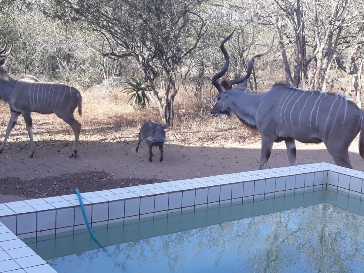 Eagle'S Crest Villa Marloth Park Bagian luar foto
