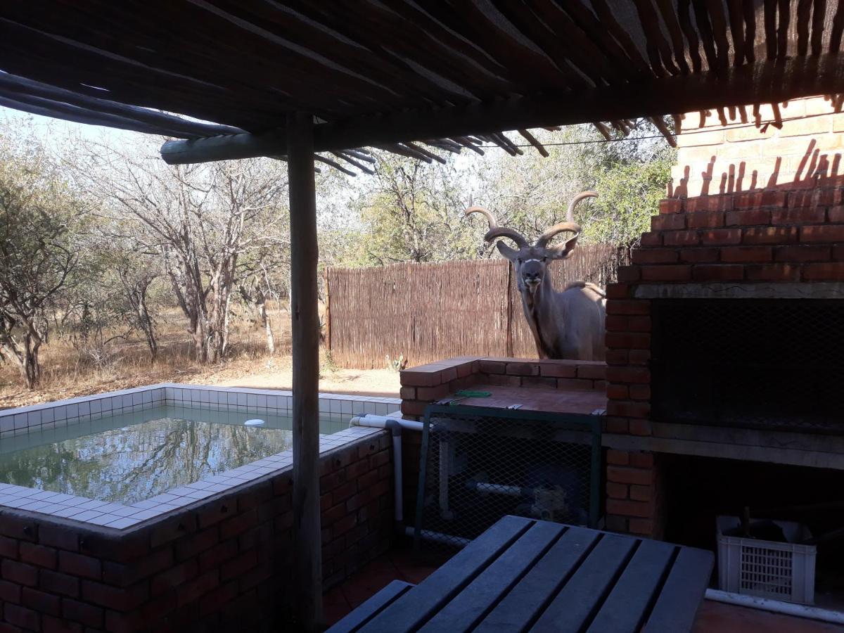 Eagle'S Crest Villa Marloth Park Bagian luar foto