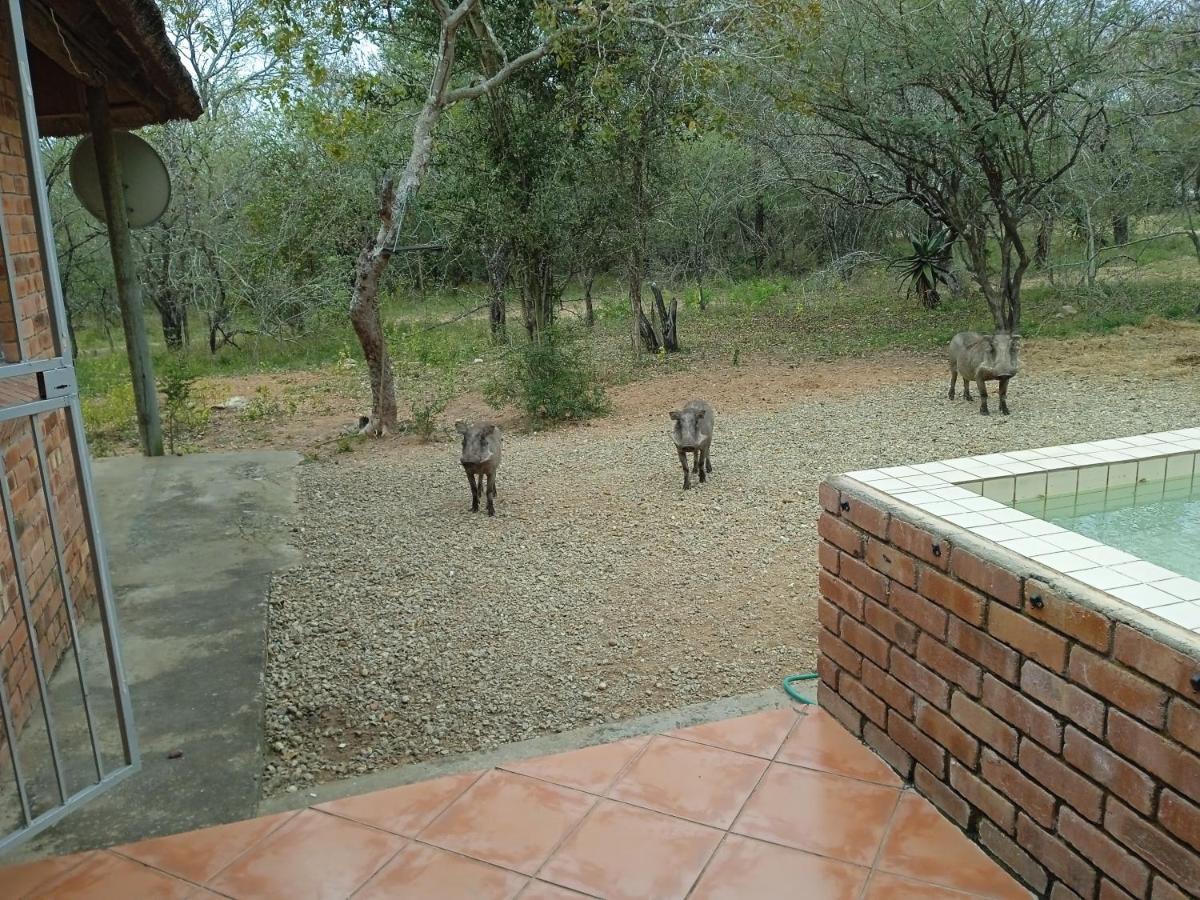 Eagle'S Crest Villa Marloth Park Bagian luar foto