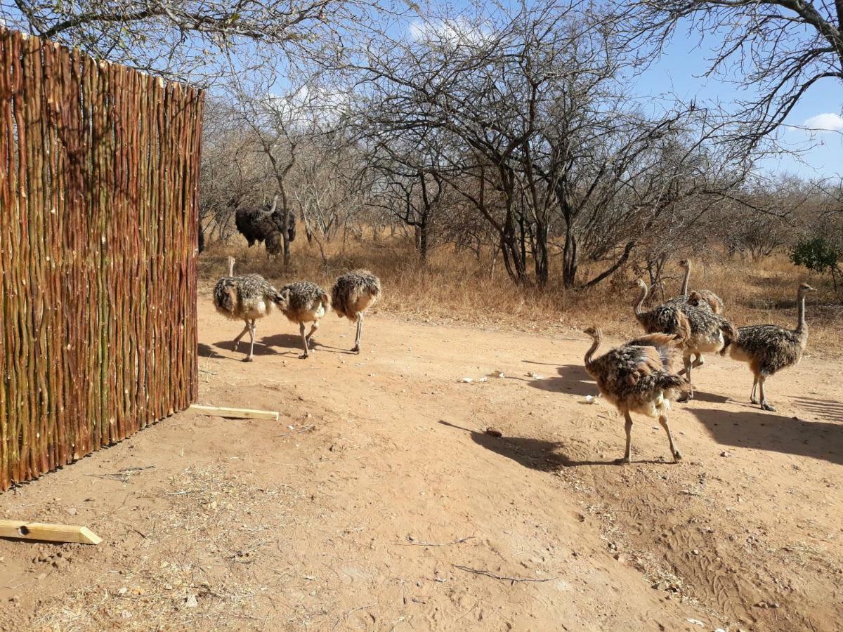 Eagle'S Crest Villa Marloth Park Bagian luar foto