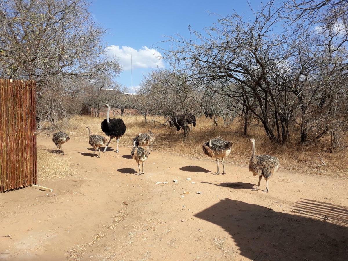 Eagle'S Crest Villa Marloth Park Bagian luar foto
